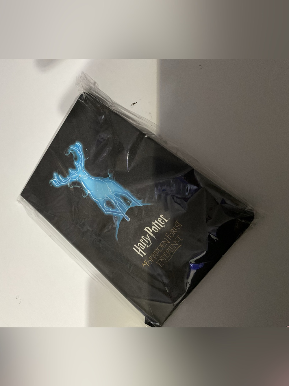 Harry Potter notebook from his forbidden forest experience